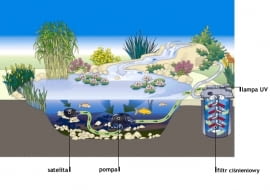 Schemat filtrowania wody w sadzawce z kaskadą. Do pompy z dodatkowym wejściem podłączono "satelitę" zbierającego zanieczyszczenia z innej części sadzawki. Wodę oczyszcza zewnętrzny filtr ciśnieniowy z lampą UV.