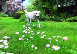 cI|U5>k{C-9-k{}S.d#y2|7wl!W7?qYWfcs(>C~FAz{N