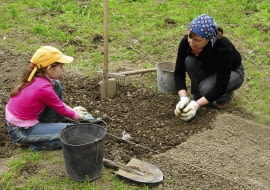 Zakładanie grządek rozpoczynamy gdy ziemia ogrzeje się i obeschnie, czyli gdy już nie klei się do butów. Jak najszybciej wyrównujemy jej powierzchnię, by ograniczyć utratę wilgoci. Następnie rozsypujemy nawozy i kompost,motyczymy, grabimy, rozbijamy duże grudki ziemi i wyznaczamy grządki.