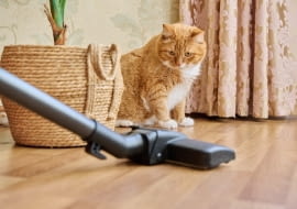 Jakie cechy są najistotniejsze przy zakupie odkurzacza?