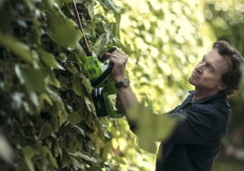 Jesienne przycinanie