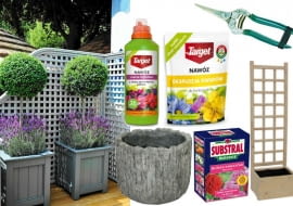 balkon, taras, donice, kwiaty, ogród