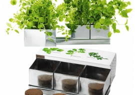 Ziołowy komplet: 3 doniczki z podstawką, 3 brykiety i 3 saszetki z nasionami, ok. 30 zł, IKEA