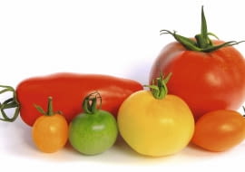 Pomidory różnią się wielkością i kształtem. Najmniejsze koktajlowe mają 0,8 cm średnicy, typowe kule - 10 cm, a walcowate - długość ok. 13 cm.