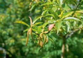 SONY DSC8BIM%WuX`z8BIM:=printOutputPstSboolInteenumInteClrmprintSixteenBitboolprinterNameTEXT(Dell 5330dn Mono Laser Printer (DAN001)printProofSetupObjcUstawienie prbyproofSetupBltnenumbuiltinProofproofCMYK8BIM;