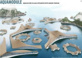 1 miejsce w konkursie Tubądzin Design Awards, wj kategorii Future NOW - " Aquamodule" Van Long Le