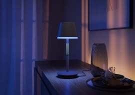 Philips Hue Go