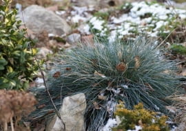 Do JEDNOKROTNEJ PUBLIKACJI