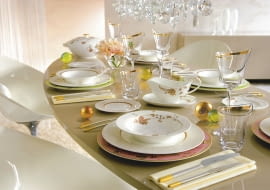 DE: Friends 14 EN: Friends 14 FR: Friends 14