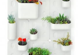 Ogrody wertykalne w domu