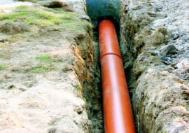 fot. Grzegorz Otwinowski