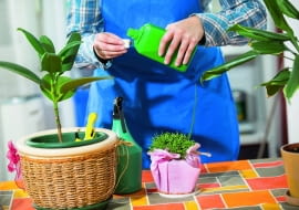 Dawkę nawozu zimowego odmierzamy zgodnie z instrukcją na etykiecie i mieszamy ją z wodą w odpowiedniej proporcji.