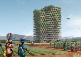 Mashambas - projekt mobilnego wieżowca w Afryce. Zwycięski projekt w międzynarodowym konkursie magazynu Evolo. Autorzy: Paweł Lipiński i Mateusz Frankowski
