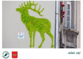 Zielone murale w Łodzi