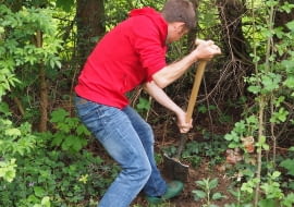 Przesadzanie roślin