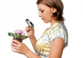 Warto obserwować swoje rośliny, aby móc zareagować odpowiednio wcześnie.