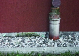 cokół
