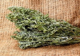 Odwar z piołunu możemy przygotować z jego świeżych liści i pędów albo z suszonych.