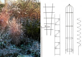 trawy ozdobne,Trawa pampesowa, Rozplenica japońska, Kostrzewa sina