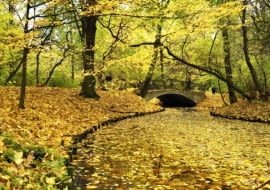 Park Skaryszewski im Ignacego Jana Paderewskiego w Warszawie