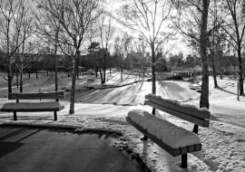 W polskich miastach brakuje ławek - raport