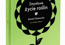 25.06.2014 , Warszawa . Avanti , pack . Fot. Andrzej Krasowski / Agencja Gazeta SLOWA KLUCZOWE: REPRODUKCJE
