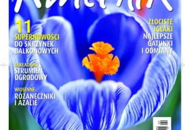 Okładka miesięcznika Kwietnik nr 02/2011