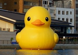 Florentijn Hofman w Osace (Japonia)