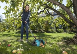 Zbieraczka do owoców Gardena Combisystem (225 zł)