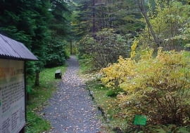 Arboretum w Lądku Zdrój