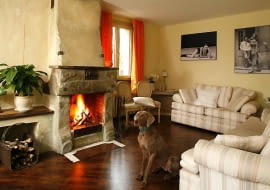 WNETRZA POKOJ DZIENNY SALON KOMINEK MEBLE ZWIERZETA PIES WYZEL