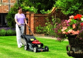 pielęgnacja trawnika