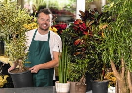 Przed kupnem rośliny warto sprawdzić, czy nie ma na niej objawów żerowania szkodników.