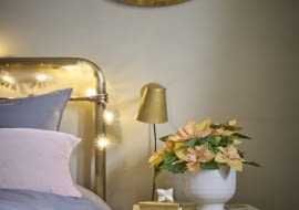 Poinsecje, ze swoimi delikatnymi kolorami i subtelnym pięknem, tworzą właśnie taką kojącą atmosferę i tworzą wyjątkowo przytulny klimat do najintymniejszych zakątków domu.