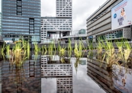 Nowe Centrum Utrechtu