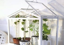 1.miniszklarnia, szkło i metal, ok. 50 zł, Ikea