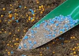 Nawozy w postaci granulek przeznaczone są do mieszania z ziemią