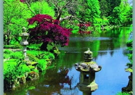 Książka "Ogrodnicy" Małgorzaty Szafrańskiej