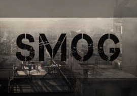 Długotrwałe wdychanie zanieczyszczonego powietrza na trwale uszkadza nasz układ oddechowy, ma również negatywny wpływ na środowisko naturalne