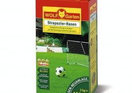 Mieszanka traw na murawy sportowe