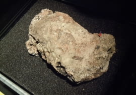 Wyschnięta część fatbergu Whitechapel na wystawie w Muzeum Londyńskim