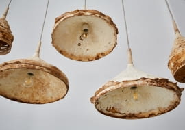Seria Mycelium + Timber: lamp i meble z grzybów i drewna