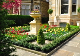 Wiosna w tym ogrodowym zakątku jest malownicza dzięki tulipanom. Kiedy przekwitną, zastąpią je niskie rośliny jednoroczne.