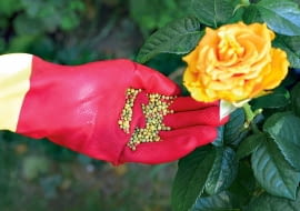 KONICA MINOLTA DIGITAL CAMERA8BIM%t^#J8BIM:3printOutputPstSboolInteenumInteClrmprintSixteenBitboolprinterNameTEXT(Dell 5330dn Mono Laser Printer (DAN001)printProofSetupObjcProof SetupproofSetupBltnenumbuiltinProofproofCMYK8BIM;