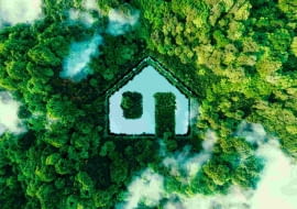 Program Czyste powietrze