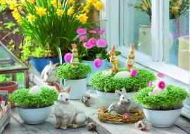 Wśród zielonych miniłączek z rzeżuchy i stokrotek przysiadły zające... a może króliki?