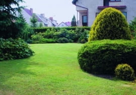 Efekt napowietrzania i piaskowania gruntu - korzenie trawy tworzą nowe rozłogi i murawa się zagęszcza.