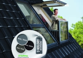 Okna dachowe Integralny Element Bryły (druk)