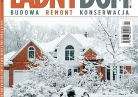 Ładny Dom - numer styczniowy