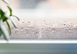 Wilgotność w domu